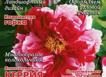 Журнал «Нескучный сад». Июнь 2009