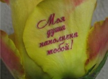 Говорящие цветы