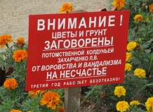 Москва: вандалы могут оставить горожан без цветов