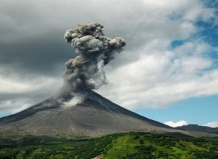 Растения помогут предсказывать извержения вулканов