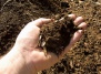 Приготовление компоста и компостирование – компосты на Ваш Сад