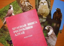 Новое положение о порядке ведения Красной книги Алтайского края