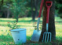 Все что необходимо знать о свойствах почв: мульчирование, удобрение и рыхление – почвы на Ваш Сад