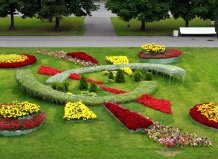 Дизайн, проектирование и оформление декоративных цветников – цветники на Ваш Сад
