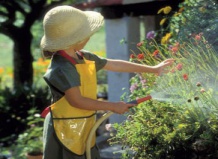 Как привить детям любовь к саду