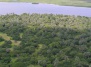 Тропические леса Судана - великая река Нил и крокодилы 