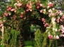 Английский сад