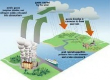 Кислотные дожди, их причины и вредное влияние