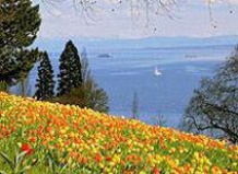 Цветочный рай на озере Бодензее – «остров цветов» Майнау
