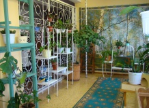 Пример озеленения  классной  комнаты