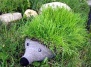 Садовые ежики своими руками