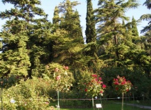 История Никитского ботанического сада:  конец ХХ-начало XXI века