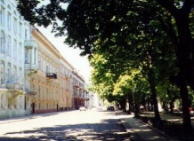 В центре Одессы посадят 700 деревьев