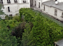 Зеленый дом в центре Парижа