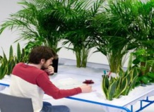 Мебель с живыми растениями  - симбиоз стиля и здоровья