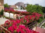 Цветущая жизнь городских балконов