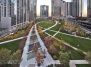 Городской парк. Чикаго