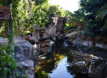 Сады и парки Испании. Биопарк в Фуэнхироле