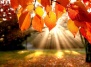 Осенний семейный праздник «Золотая Осень» в садовом центре Ваш Сад