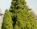/i/encyclopedia/75_60/aQN5i19N.jpg