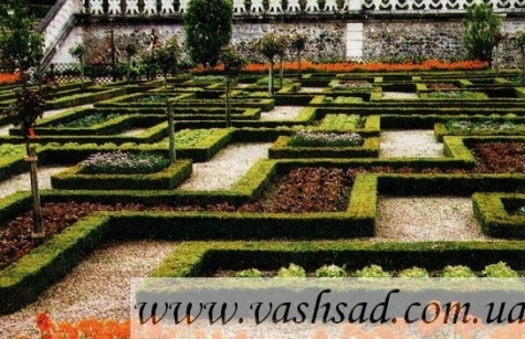 Фунциональный цветник 7