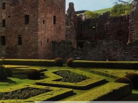 Французский сад 7