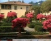  Итальянский сад 8