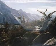Азас
