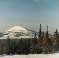 Басеги