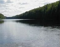 Кивач
