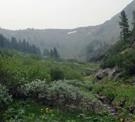 Командорские острова