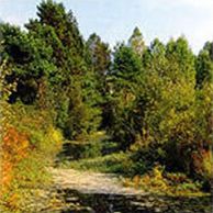 Национальный парк Орловское Полесье