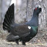 Национальный парк Руский Север