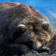 Столбы