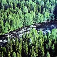 Водлозерский